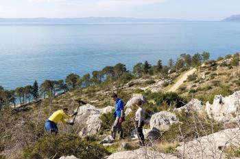 Valamar inicijativa za sadnju stabala: „Easy as one, two, tree“ doprinosi očuvanju šuma u Hrvatskoj s planom sadnje 10.000 stabala u 2024. godini