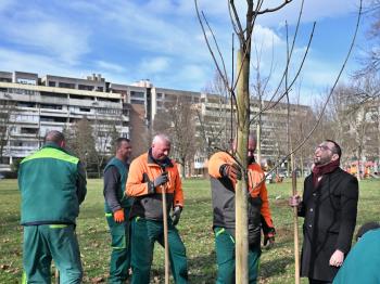 Inovativni koraci Zagreba prema zelenijoj budućnosti | Karlobag.eu