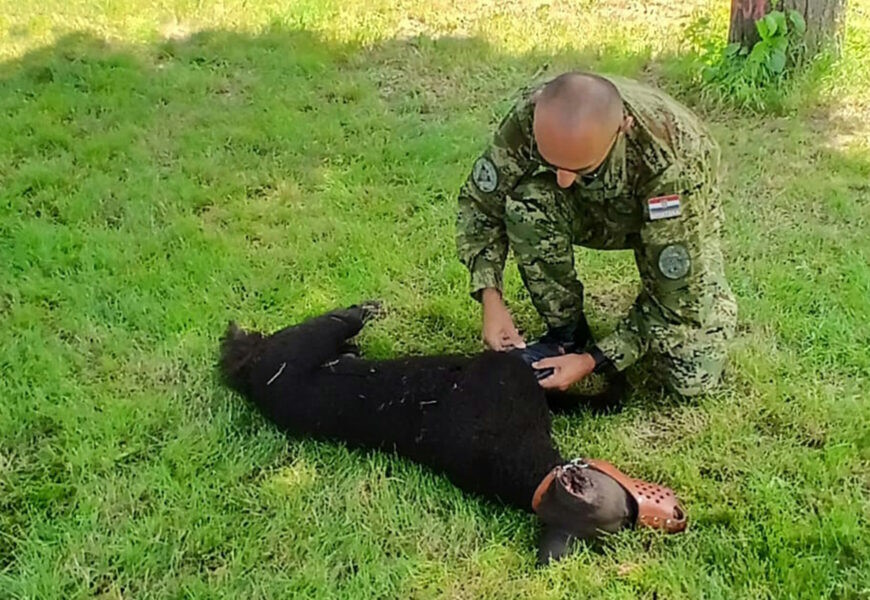 Members of the Service Dog Guide Training Center participated in an international training for NATO military police tasks in Fritzlar, Germany