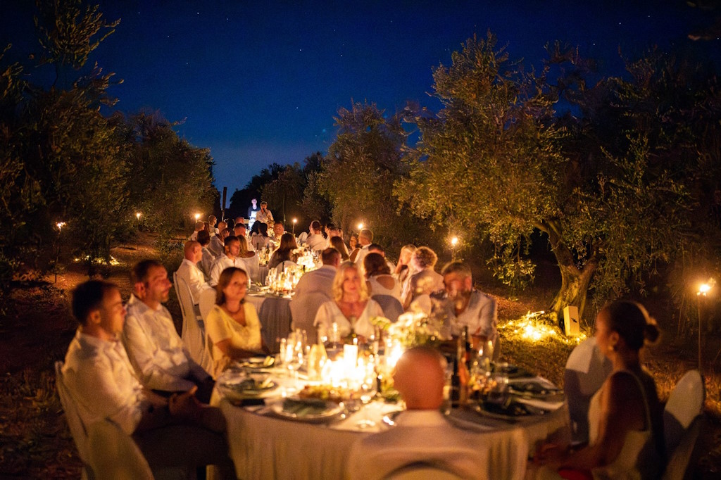 A night under the stars in Poreč: An exclusive event in the largest olive grove in the region with music, gastronomy and natural beauty