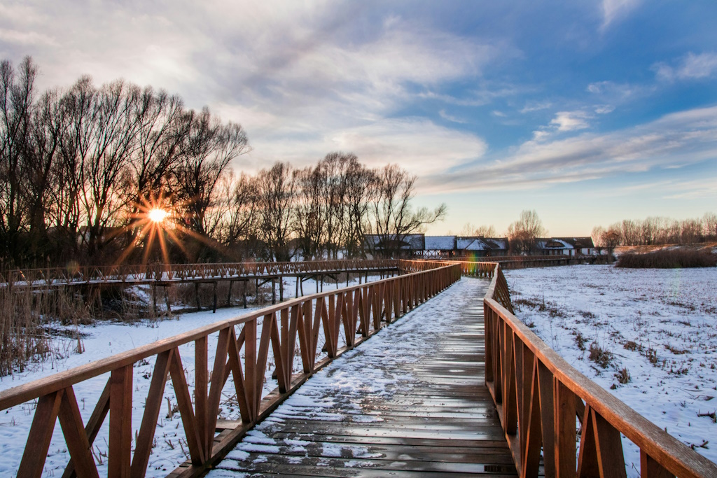 Discover Baranja: Natural beauty and cultural heritage with a rich offer of activities, gastronomy and accommodation